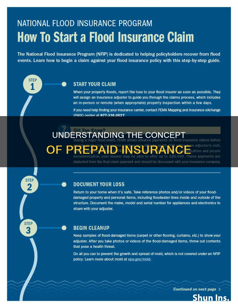why is it called prepaid insurance