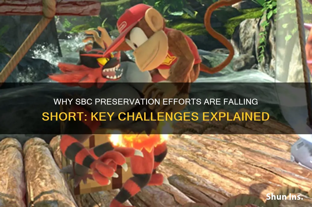 why is it failing to save sbc