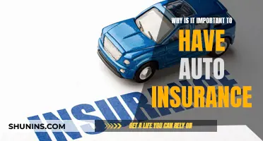 Auto Insurance: Protecting Your Assets