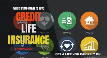 Protect Your Future: Why Credit Life Insurance Matters