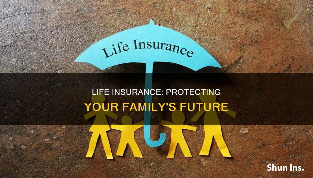 why is it important to have life insurance