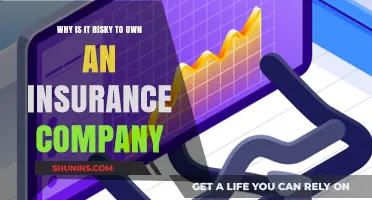 Owning an Insurance Company: Hidden Risks and Financial Vulnerabilities