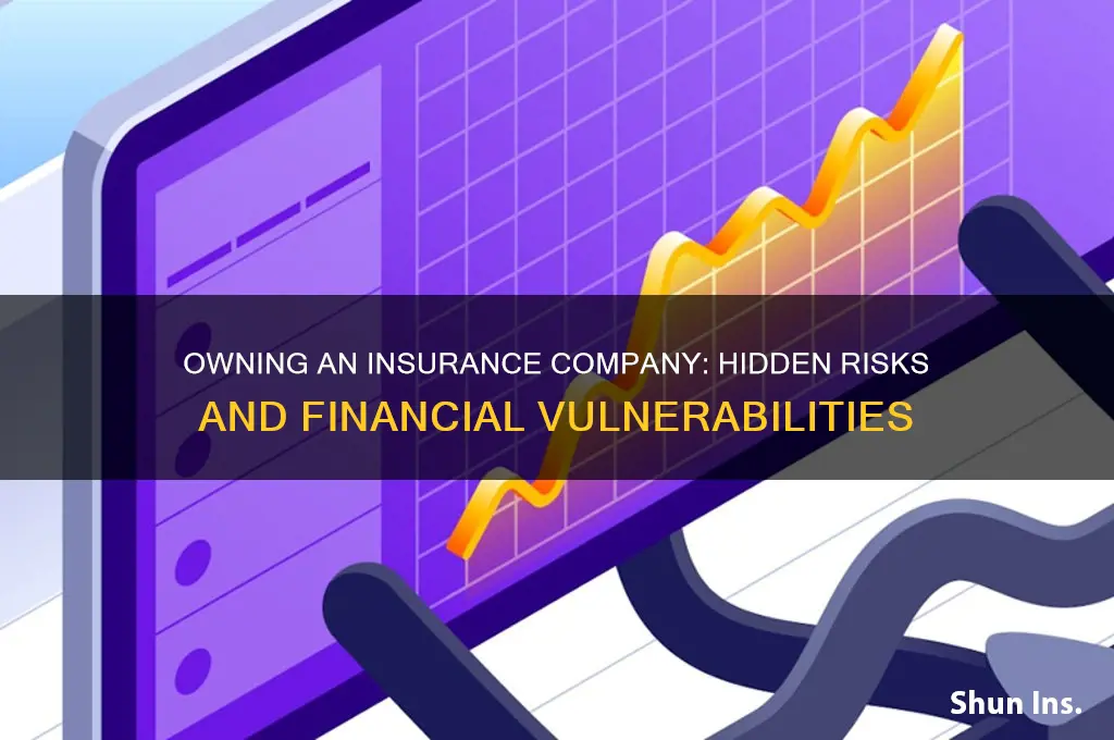why is it risky to own an insurance company