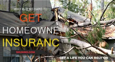 The Challenge of Home Insurance: Why So Difficult?