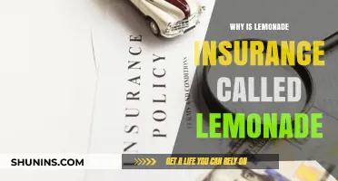 Lemonade Insurance: Why the Name?