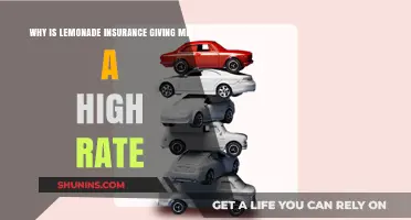 Lemonade Insurance: Why Am I Paying More?