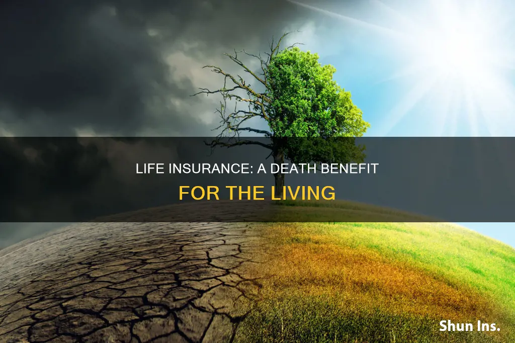 why is life insurance called life insted of death ins