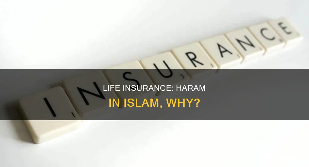 why is life insurance haram in islam