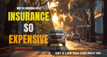 Louisiana Auto Insurance: Why So Expensive?