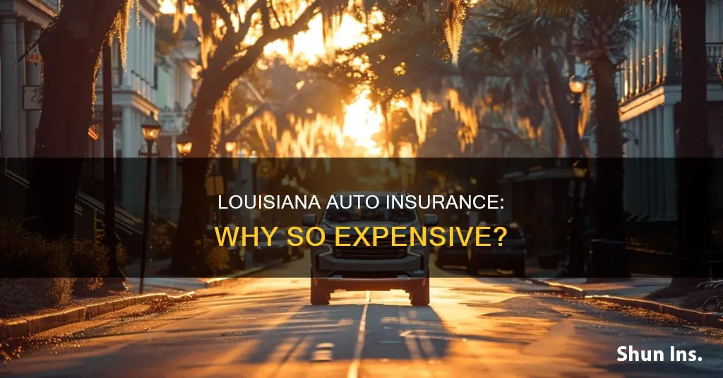 why is louisiana auto insurance so expensive