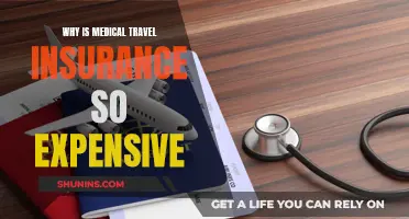 Medical Travel Insurance: Why the High Cost?