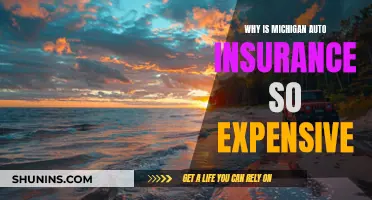 Michigan Auto Insurance: Why So Expensive?