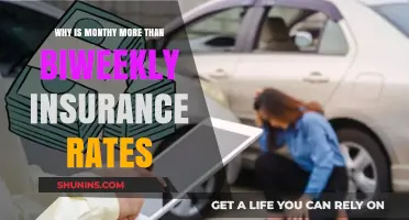 Monthly Insurance Rates: More Expensive, But Why?