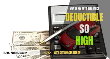 Understanding Auto Insurance Deductibles: Why So Expensive?