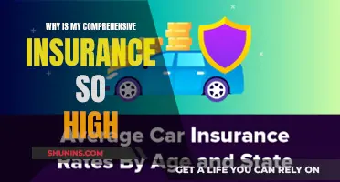 Comprehensive Insurance: Why is it So Expensive?