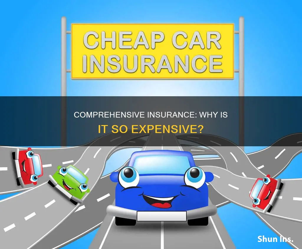 why is my comprehensive insurance so high