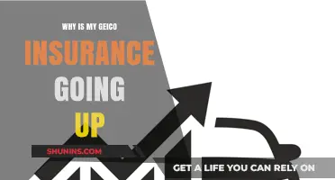 How Geico Insurance Rates Increase: Reasons and Factors