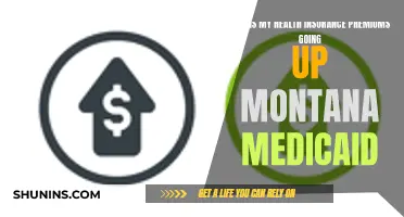 Montana Medicaid: Rising Health Insurance Premiums Explained