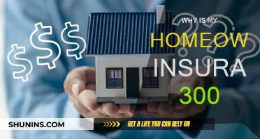 Understanding the High Cost of Homeowners Insurance