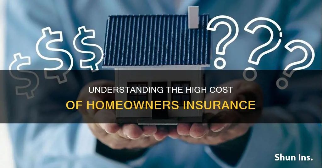 why is my homeowners insurance 300