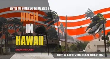 Hawaii's Hurricane Insurance: Why the High Cost?