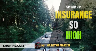 ICBC Insurance: High Rates, Explained