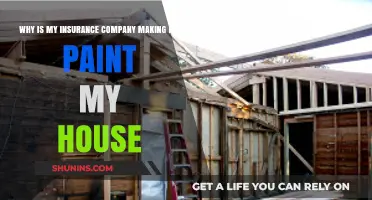 Why Insurance Companies Mandate House Painting: Uncovering the Hidden Reasons