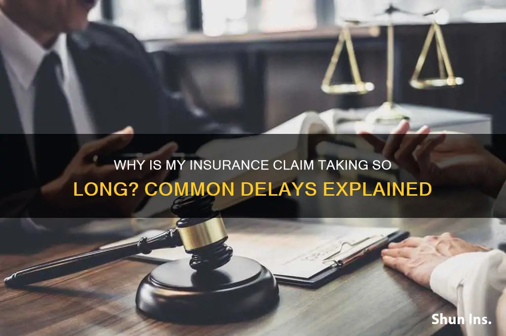 why is my insurance company taking so long