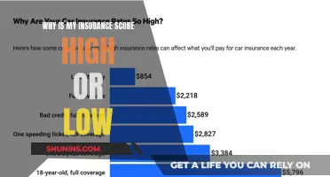 Understanding Insurance Scores: Factors Affecting Your Rating