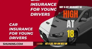 Understanding the High Cost of Insurance for Teen Drivers
