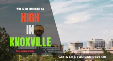 Sky-High Insurance Rates: Unraveling Knoxville's Cost Conundrum