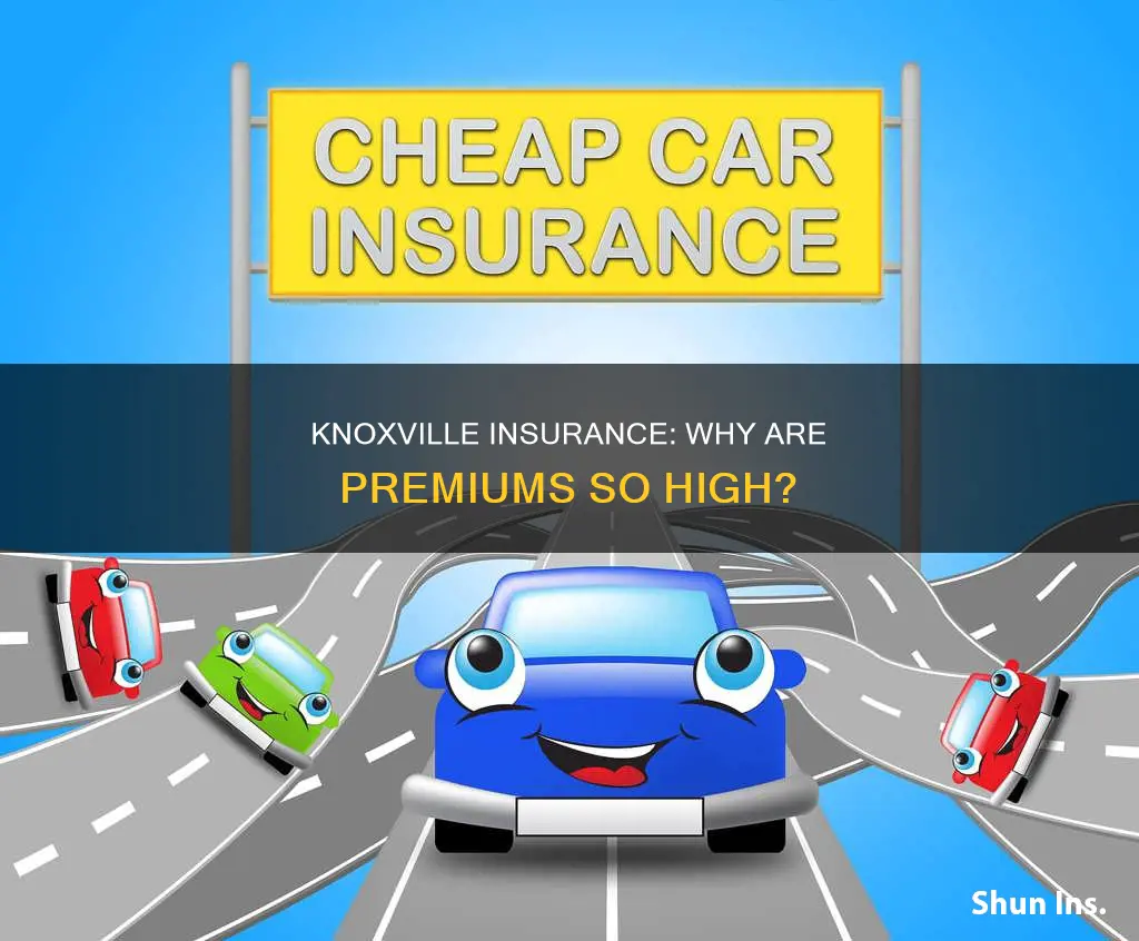 why is my insurance so high in knoxville