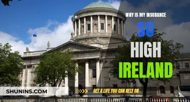 Understanding Ireland's High Insurance Rates: A Comprehensive Guide