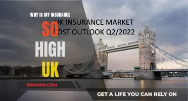 UK Insurance: Why Are My Premiums So High?