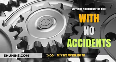 Insurance Premiums: Accident-Free but Still High?