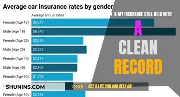 Clean Record but High Insurance: Why the Discrepancy?