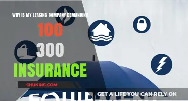 Why Leasing Companies Require High Insurance Premiums: Explained