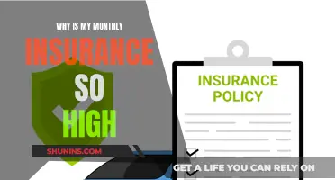 Sky-High Insurance: Unraveling the Cost Conundrum