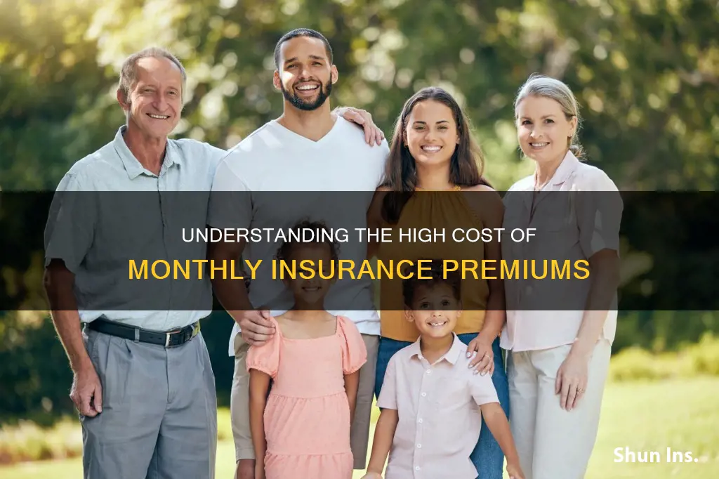why is my monthly insurance so high