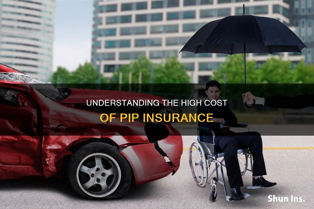 why is my pip insurance so high