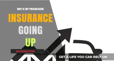 Progressive Insurance: Why Are My Rates Increasing?