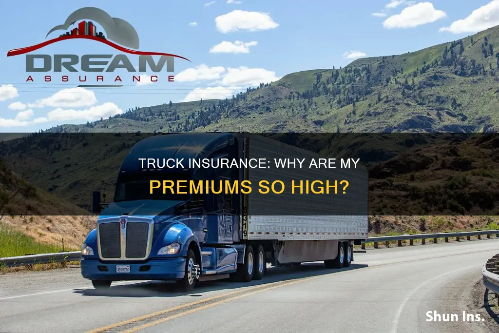 why is my truck insurance so high
