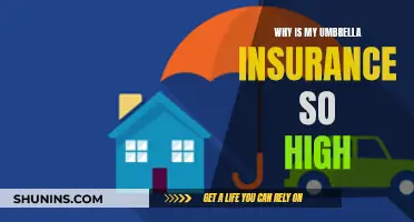 Umbrella Insurance: Understanding the High Premiums