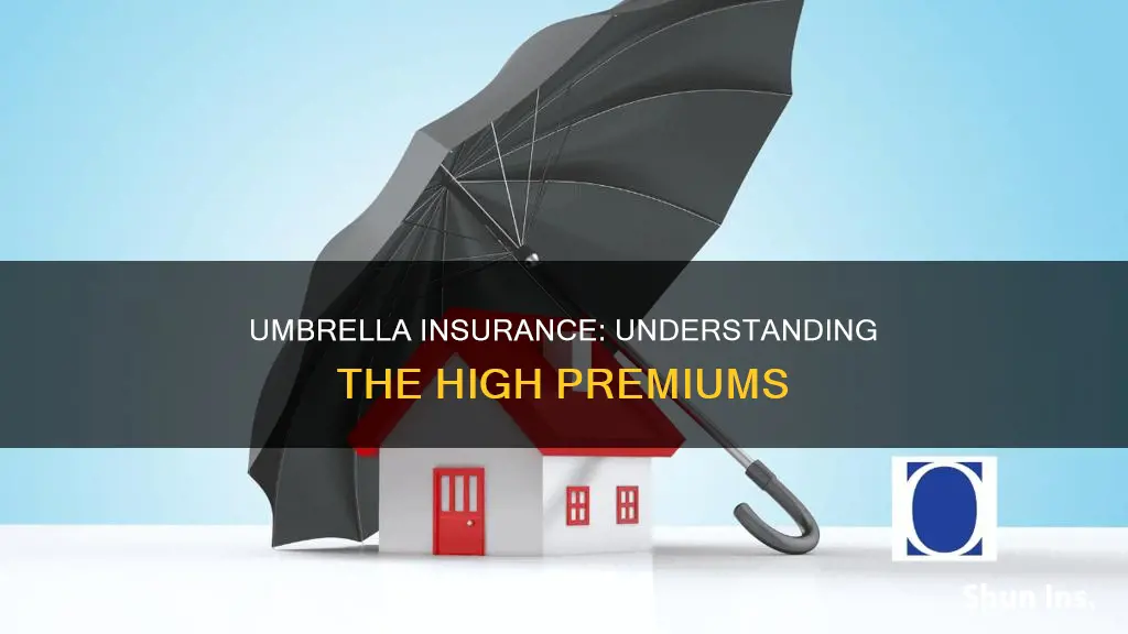 why is my umbrella insurance so high