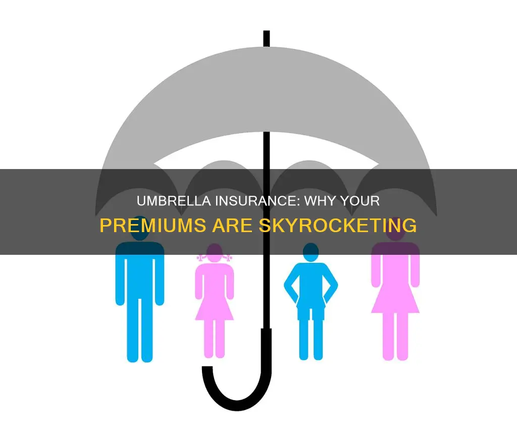 why is my umbrella insurance so high