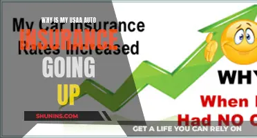 Usaa Auto Insurance: Rising Premiums Explained