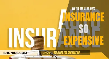 Usaa Auto Insurance: Why Are My Premiums So High?