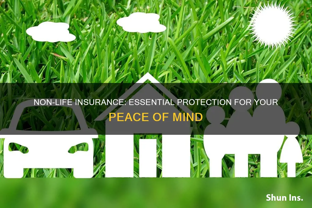why is non life insurance necessary
