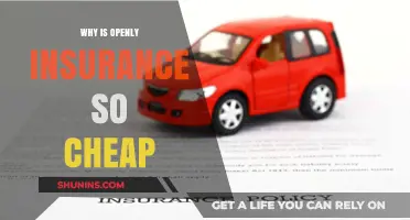 How Openly Insurance Offers Affordable Coverage