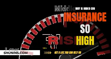 Understanding the High Cost of Auto Insurance: A Comprehensive Guide